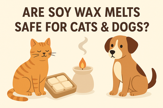 Are Soy Wax Melts Safe for Cats & Dogs?